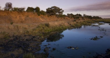 Güney Afrika 'daki Kruger Ulusal Parkı' nda Afrika manzarası