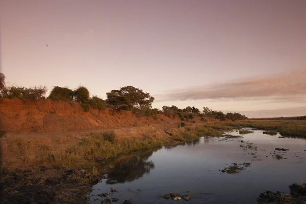 Afrikaans Landschap Het Kruger National Park Zuid Afrika — Stockfoto