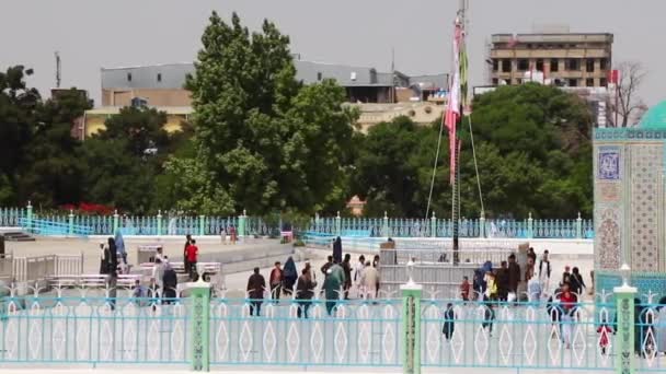Orang Afghanistan Tak Dikenal Masjid Biru Mazar Sharif Afghanistan Utara — Stok Video