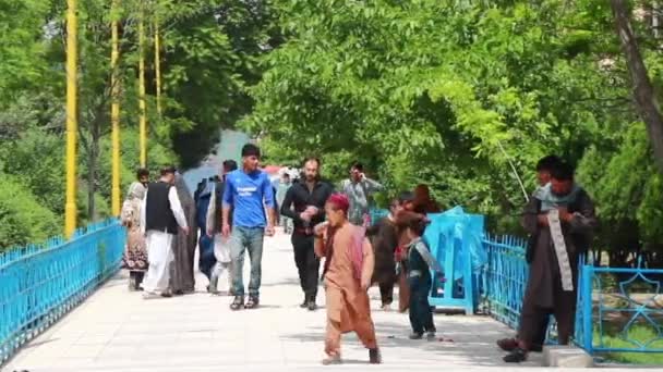 Unidentified Afghan People Garden Blue Mosque Mazar Sharif North Afghanistan — Stock Video