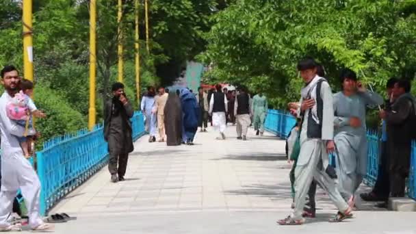Unidentified Afghan People Garden Blue Mosque Mazar Sharif North Afghanistan — Stock Video
