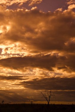 Gölün üzerinde güzel bir gün batımı