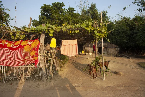 Raxaul 11月10 インドの貧しい町2013年11月10日 インドのビハール州ラクソールで ビハール州はインドで最も貧しい州の一つである 1人当たりの所得は約300ドルです — ストック写真
