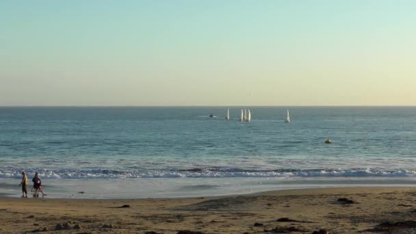 Personas Identificadas Twin Lakes Beach Santa Cruz Harbor Atardecer Norte — Vídeo de stock