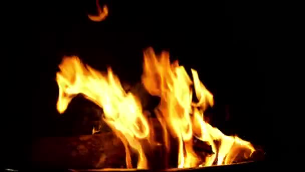 Oheň Hoří Černém Pozadí — Stock video