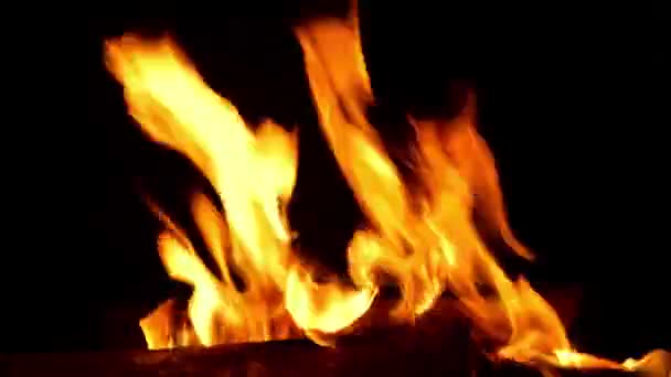 Brand Brinnande Över Svart Bakgrund — Stockvideo