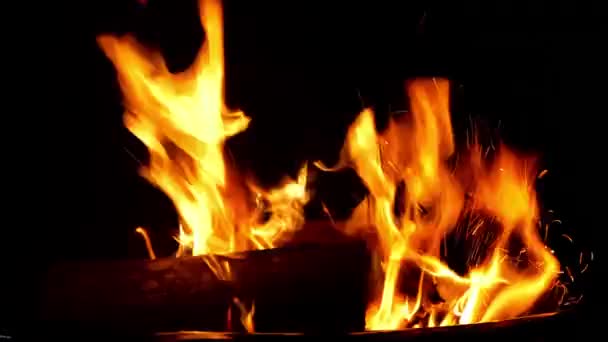 Feuer Brennt Auf Schwarzem Hintergrund — Stockvideo