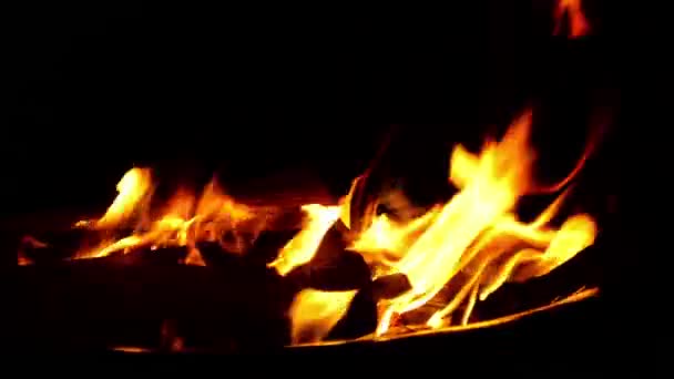 Fire Burning Black Background — Stock Video