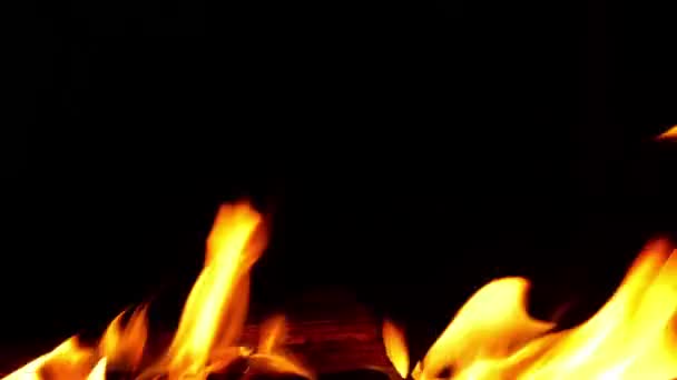 Φωτιά Καίει Πάνω Από Μαύρο Φόντο — Αρχείο Βίντεο