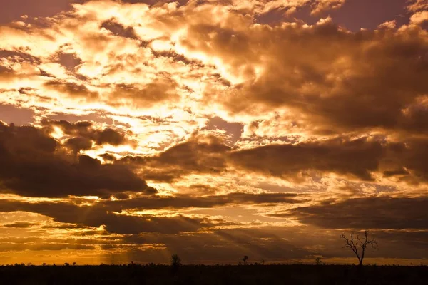 Magnifique Coucher Soleil Sur Mer — Photo