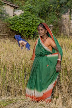 RAXAUL, INDIA: Raxaul, Bihar State, Hindistan 'da tanımlanamayan Hintli kadın, Kasım 2013