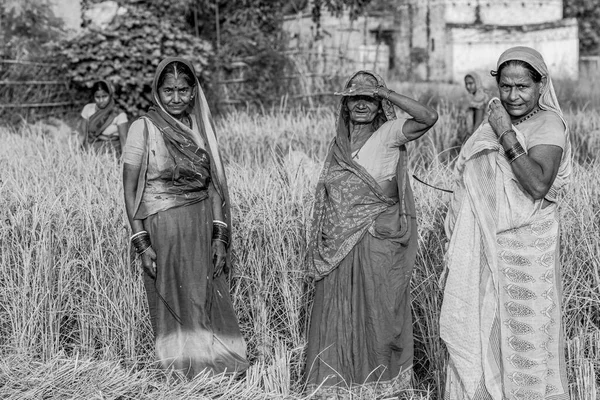 Неопознанные Индийские Женщины Раксауле Штат Бар Индия Ноябрь 2013 Года — стоковое фото
