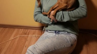 Genç kız onun küçük oyuncak terrier köpek ile eğleniyor. 4k Uhd.