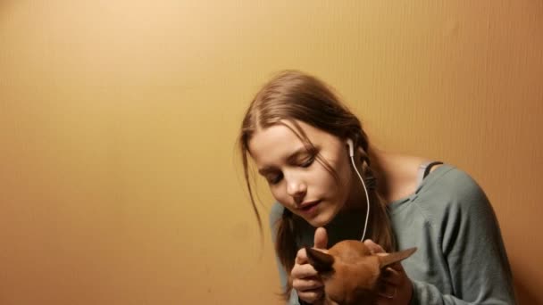十代の少女は、彼女の小さなおもちゃのテリア犬を楽しんでします。4 k Uhd. — ストック動画