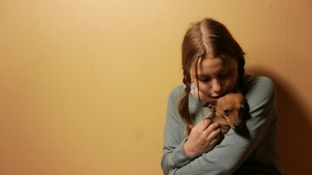 Genç kız having oyunculuk ile onun küçük oyuncak terrier köpek gülümsüyor. 4k Uhd. — Stok video