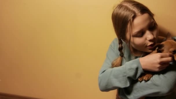 十代の少女は、彼女の小さなおもちゃのテリア犬を楽しんでします。4 k Uhd. — ストック動画