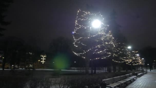 Деревья и огни на ночной улице. Новый год. 4K UHD — стоковое видео