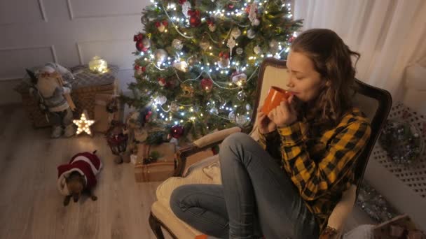 Chica adolescente sonriendo y bebiendo té de una taza. Árbol de Navidad y vacaciones estado de ánimo. 4K UHD . — Vídeo de stock