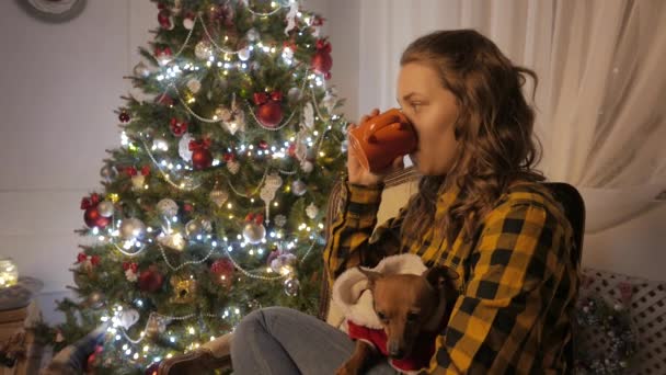Chica adolescente sonriendo y bebiendo té de una taza. Árbol de Navidad y vacaciones estado de ánimo. 4K UHD . — Vídeo de stock