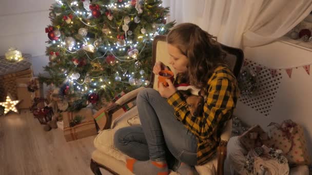 Дівчина-підліток посміхається і п'є чай з чашки. Новорічна ялинка і святковий настрій. 4K UHD . — стокове відео