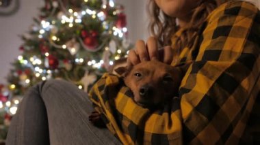 Kızlar kollarında küçük köpecik. Noel ağacı ve tatil ruhu. 4k Uhd.