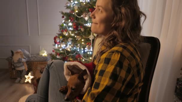 Kleine hondje in meisjes armen. Kerstboom en vakantie geest. 4k Uhd. — Stockvideo