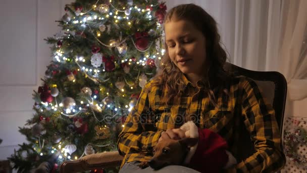 Маленькая собачка на руках у девочек. Рождественская елка и праздничный дух. 4K UHD . — стоковое видео