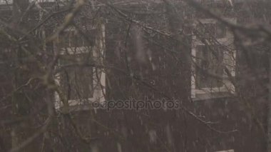 Blizzard ve kar yağışı. 4k Uhd