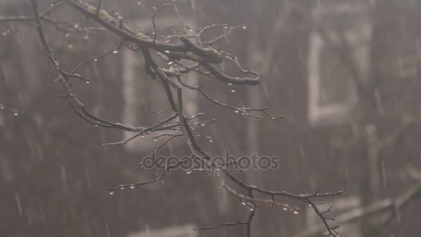 Ventisca y nevadas. 4K UHD — Vídeo de stock