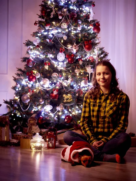 Bir Noel ağacı ile güzel bir odada küçük köpek ile oturan mutlu sevimli kız - Stok İmaj