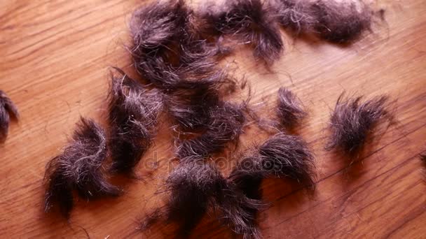 Cut Hair Falling On A Floor 4k Uhd Stock Video C Dontcut 144433051
