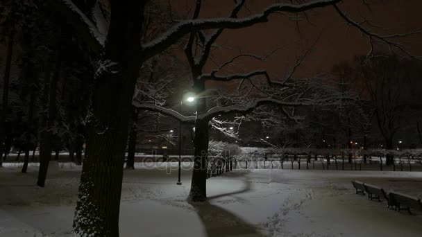 Winter in een stad. Nacht in het park. 4k Uhd — Stockvideo