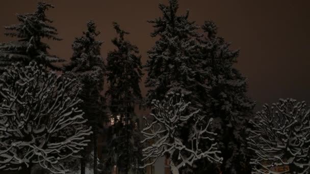 Invierno en una ciudad. Noche en el parque. 4K UHD — Vídeo de stock