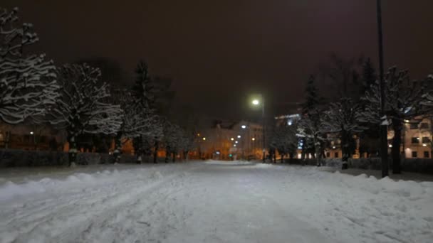 Invierno en una ciudad. Noche en el parque. 4K UHD — Vídeo de stock