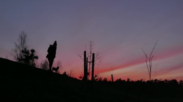 Жінка грає зі своєю собакою на заході сонця — стокове відео