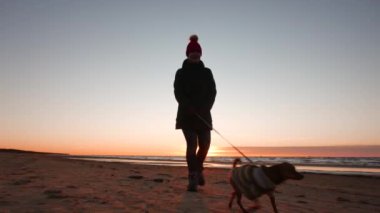 Çalışan, yürüyüş, oyun ve onun köpek ile eğleniyor günbatımında Baltık Denizi yakınındaki bir plajda baharda kadın. Renkli manzara.