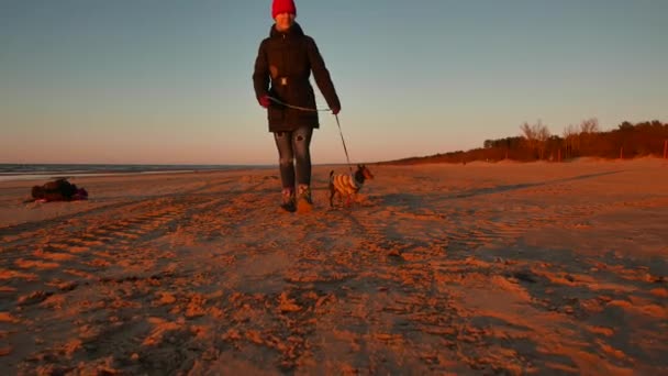 Vrouw hardlopen, wandelen, spelen en plezier maken met haar hondje bij zonsondergang op een strand in de buurt van de Baltische Zee in het voorjaar. Kleurrijk landschap. — Stockvideo