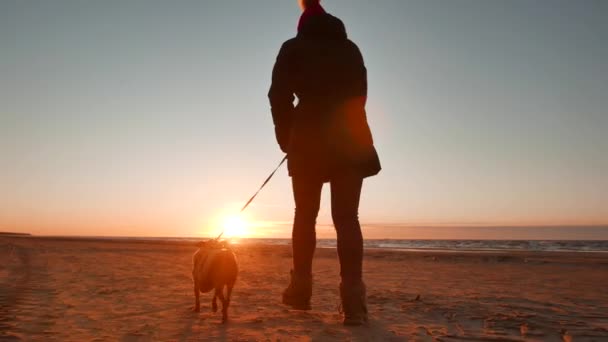 Mujer corriendo, paseando, jugando y divirtiéndose con su perrito al atardecer en una playa cerca del mar Báltico en primavera. Paisaje colorido . — Vídeo de stock