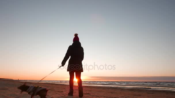 Vrouw hardlopen, wandelen, spelen en plezier maken met haar hondje bij zonsondergang op een strand in de buurt van de Baltische Zee in het voorjaar. Kleurrijk landschap. — Stockvideo