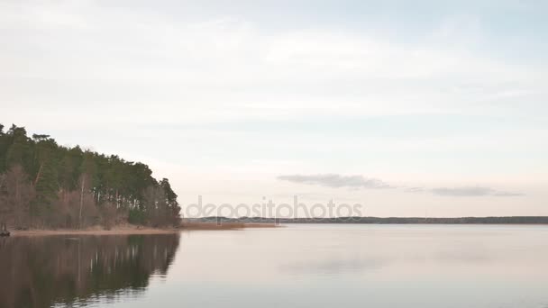 Calm lake under våren. Solig dag. — Stockvideo