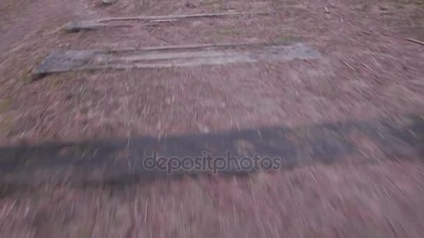 Caminando por un bosque de primavera. Un día soleado . — Vídeos de Stock