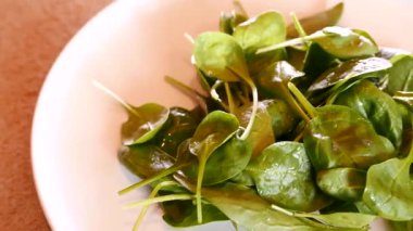 Karides, sebze ve diğer yeşillikleri salatası.