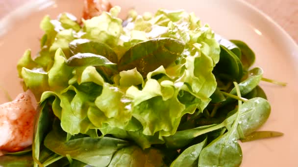 Salada com camarão, legumes e outros verduras . — Vídeo de Stock