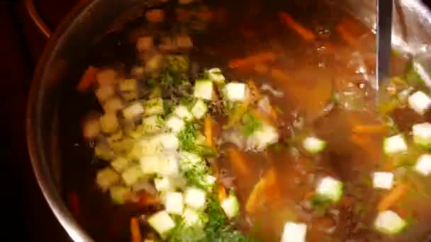 Sopa casera con verduras mixtas en la olla de cerca . — Vídeos de Stock