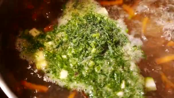 Sopa casera con verduras mixtas en la olla de cerca . — Vídeos de Stock
