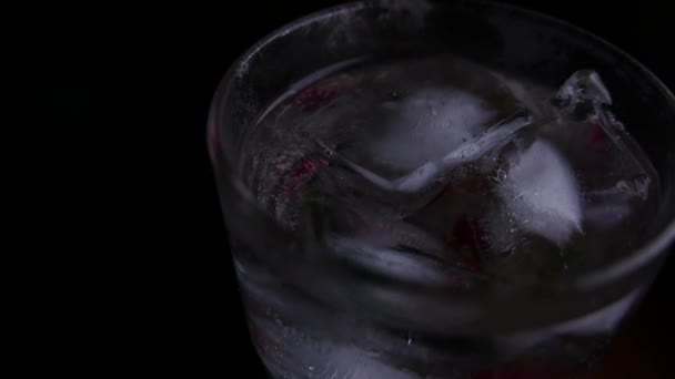 Glas med dricka, is, mint och bär. Närbild — Stockvideo