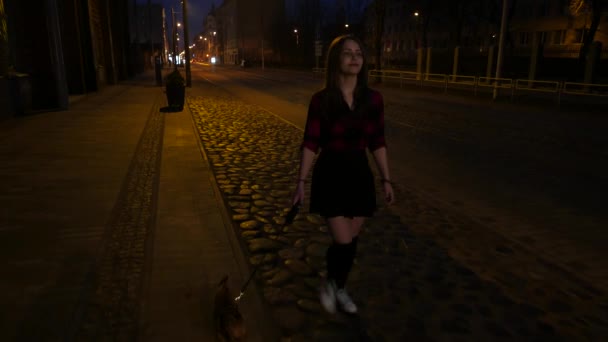 Teenie-Mädchen mit kleinem Hund auf einer nächtlichen Straße. — Stockvideo
