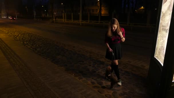 Teen flicka med en liten hund på en natt gata. — Stockvideo