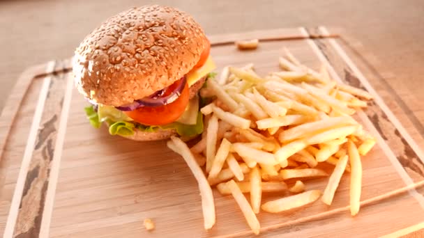 Hamburger succoso con patate fritte . — Video Stock