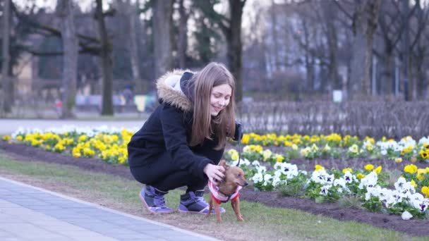 Menina adolescente e um pouco de terrier irritado jogando em um parque. 60 a 24fps — Vídeo de Stock